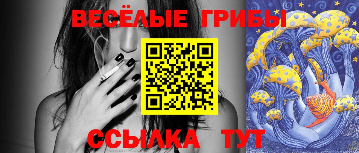 Галлюциногенные грибы Magic Shrooms Волхов