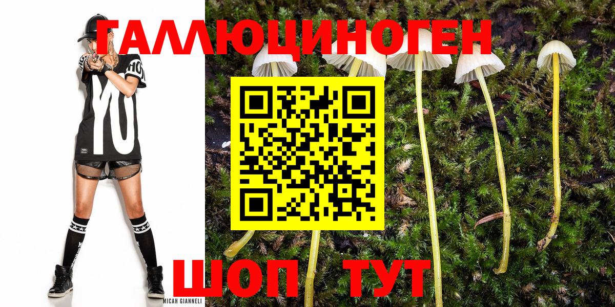 Галлюциногенные грибы MAGIC MUSHROOMS  Псилоцибиновые грибы прущие грибы  Волхов  Вход с VPN 