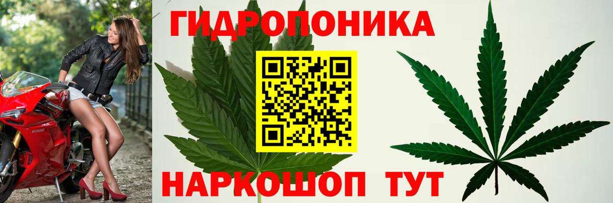 Волхов  Каннабис AK-47  Вход с VPN  МАРИХУАНА конопля 