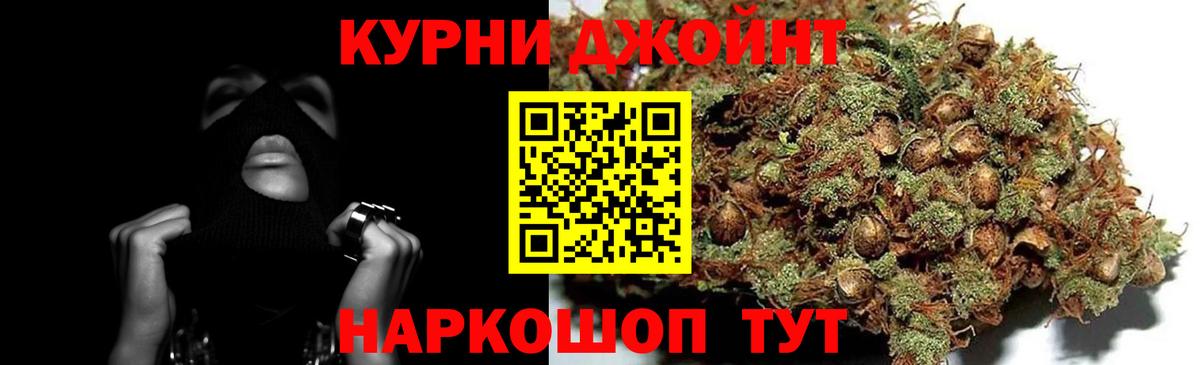 Конопля OG Kush Волхов